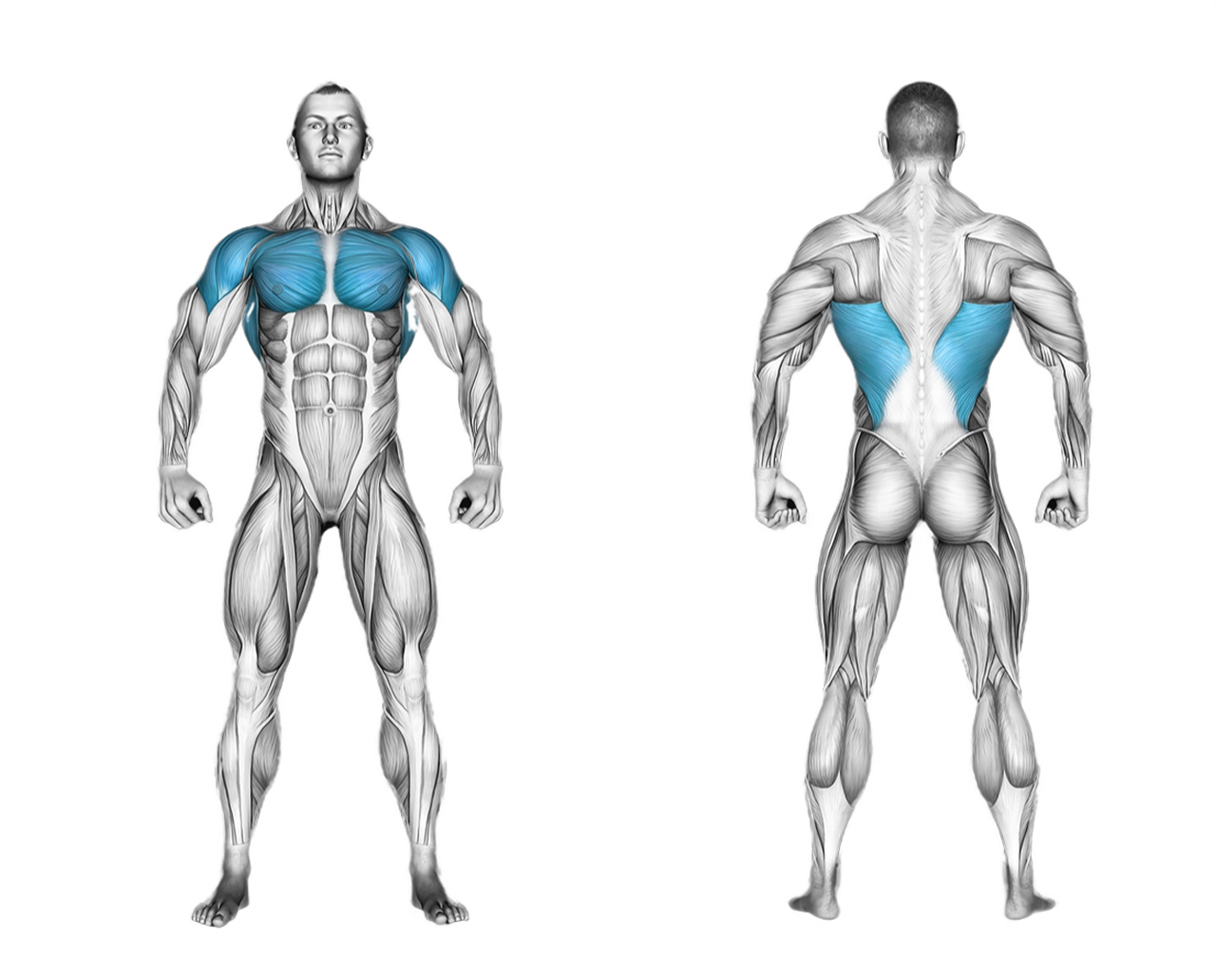 Cable Standing Fly: chest
