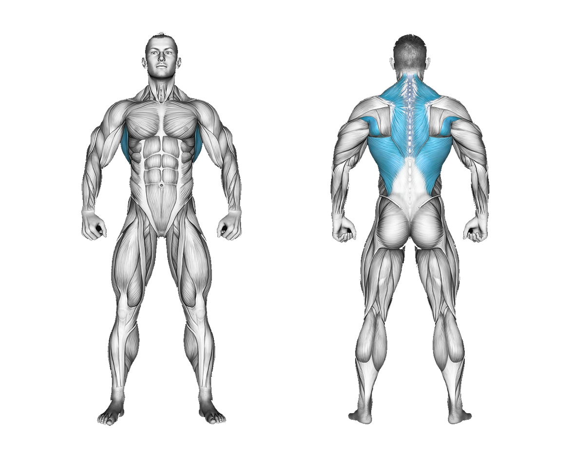 Resistance Band Kneeling Cross Body Lat Pulldown: back