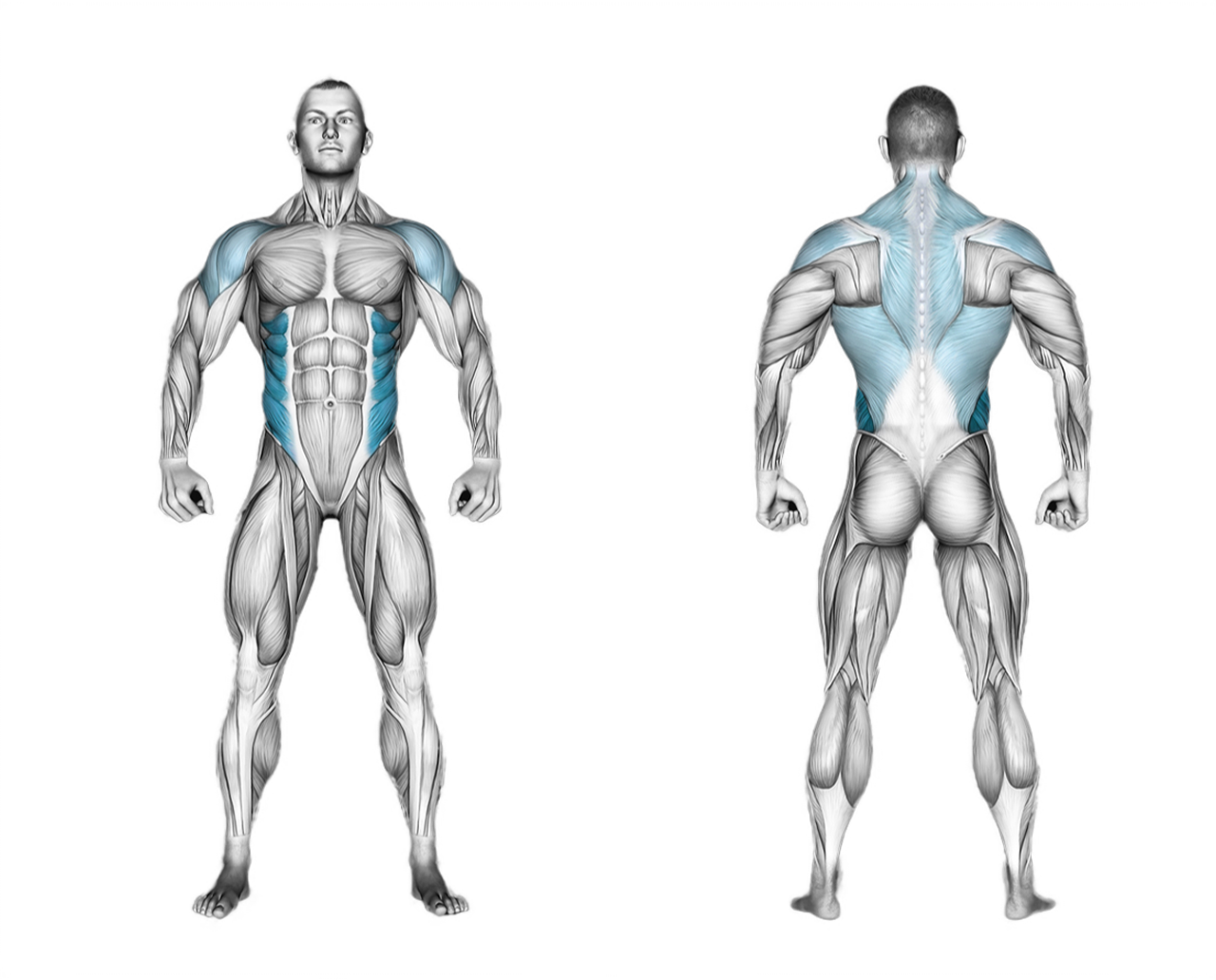 Cable Twist: abs