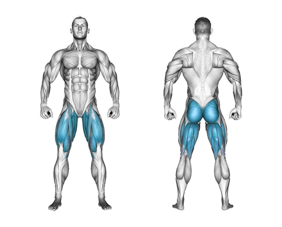 Resistance Band Single Leg Bridge: glutes, legs