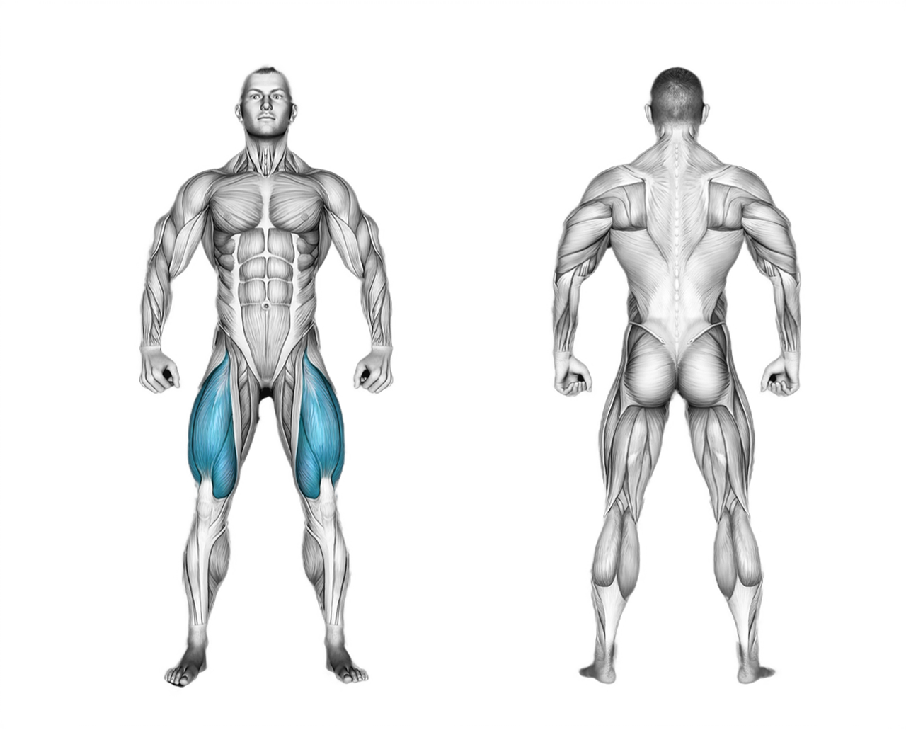 Lever Leg Extension: legs
