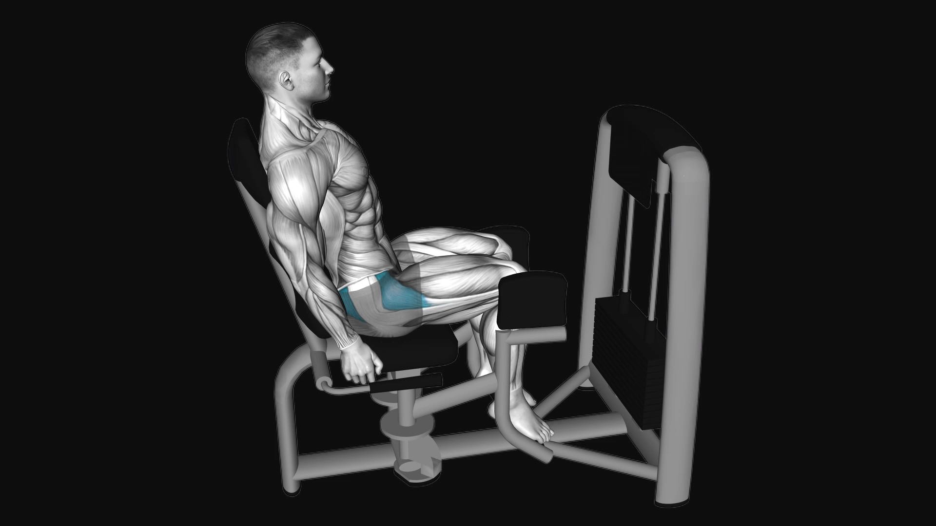 Lever Seated Hip Abduction