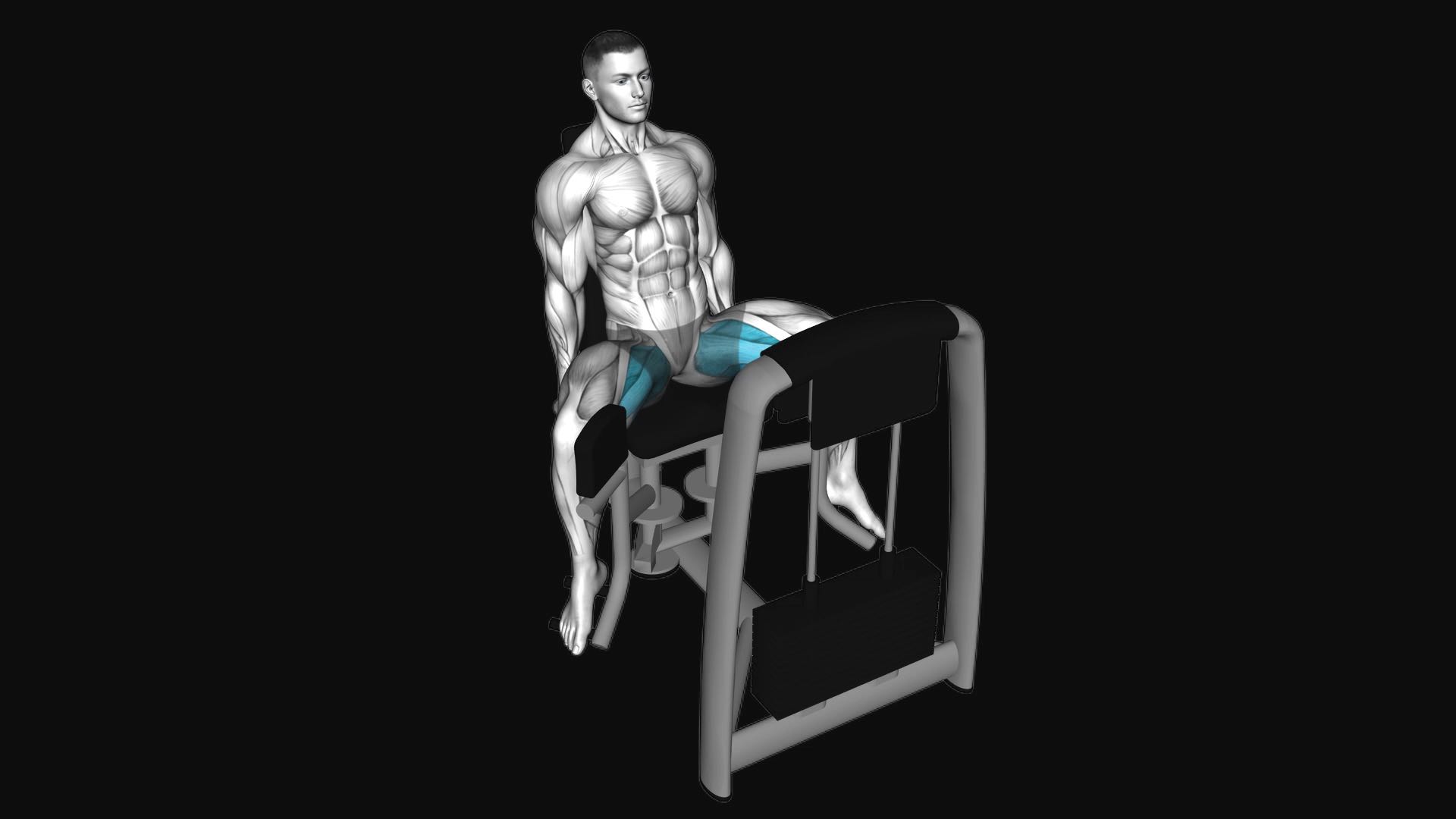 Lever Seated Hip Adduction