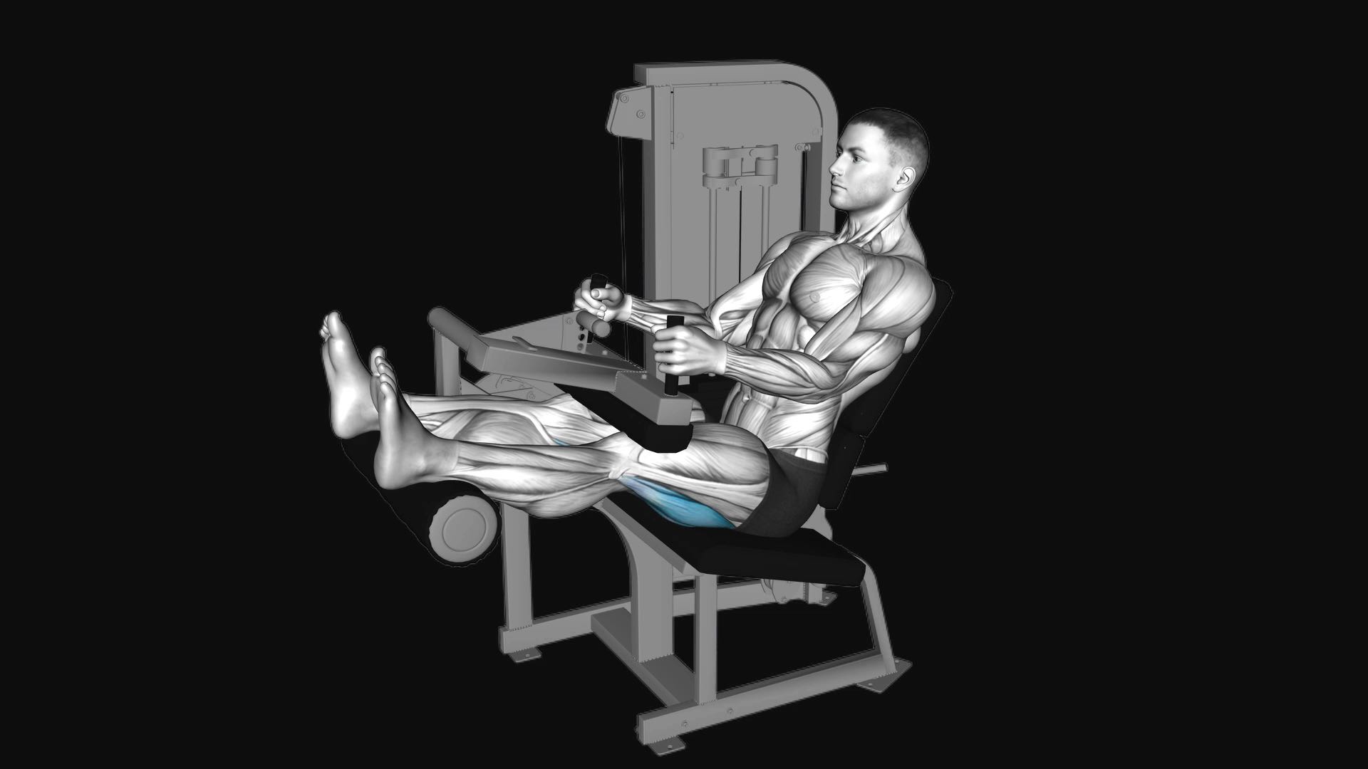 Lever Seated Leg Curl