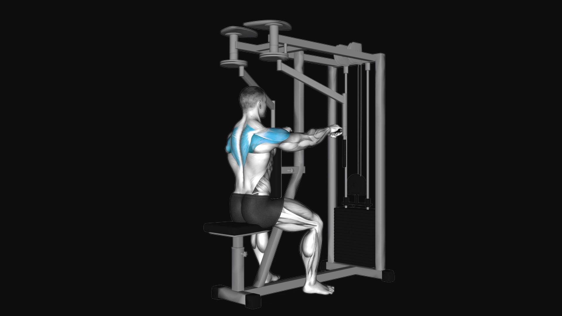 Lever Seated Reverse Fly