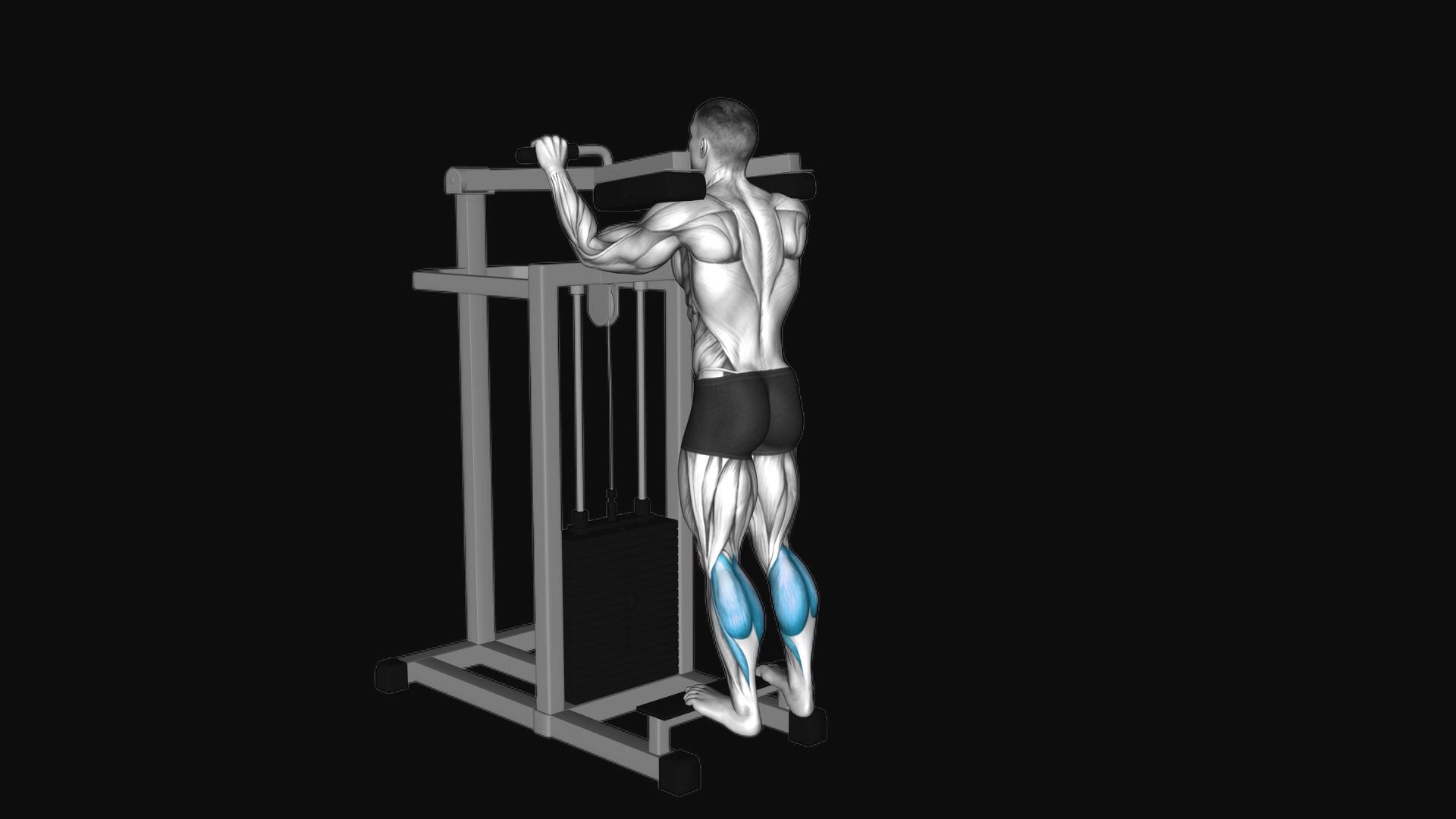 Lever Standing Calf Raise