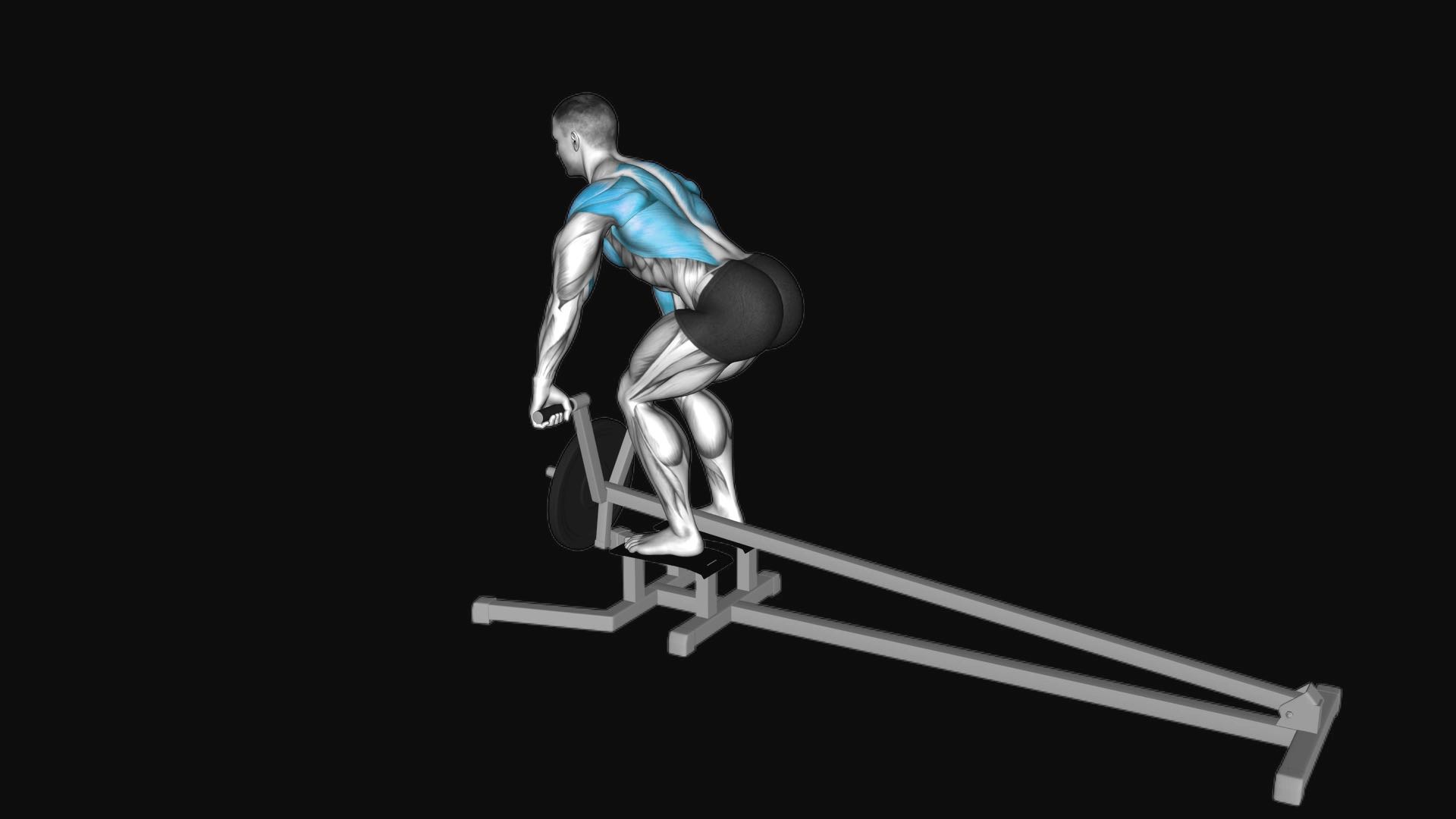 Lever T-bar Row