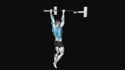 Pull-up
