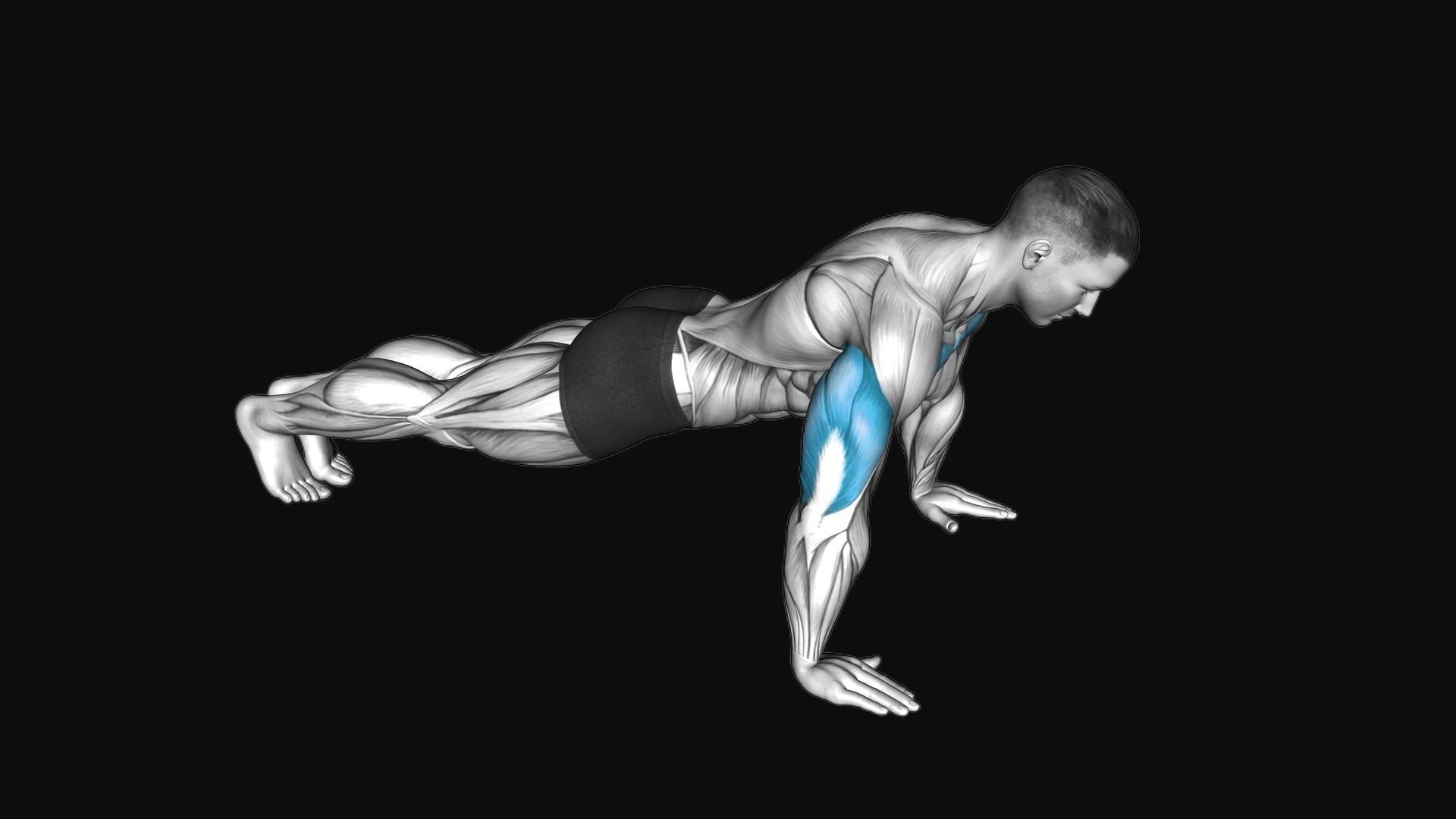 Push-up