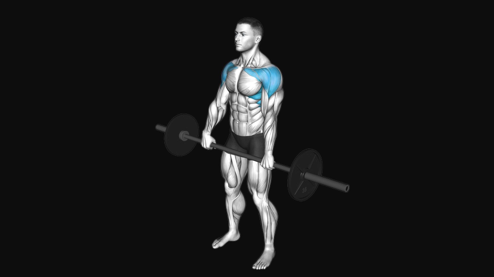 Barbell Front Raise