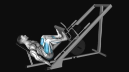Sled 45 Degrees Leg Press