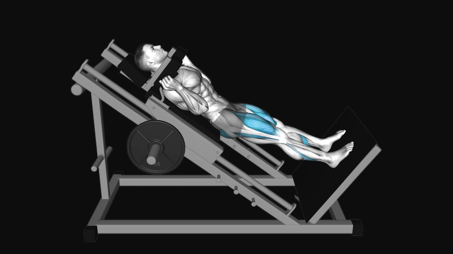 Sled Hack Squat