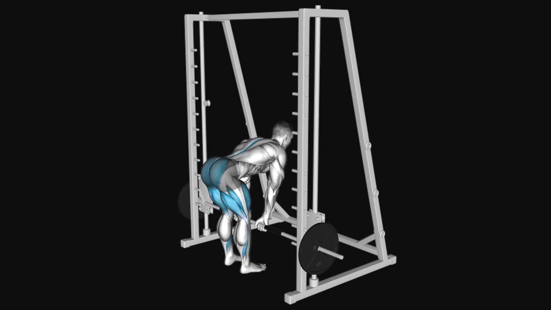 Smith Machine Deadlift