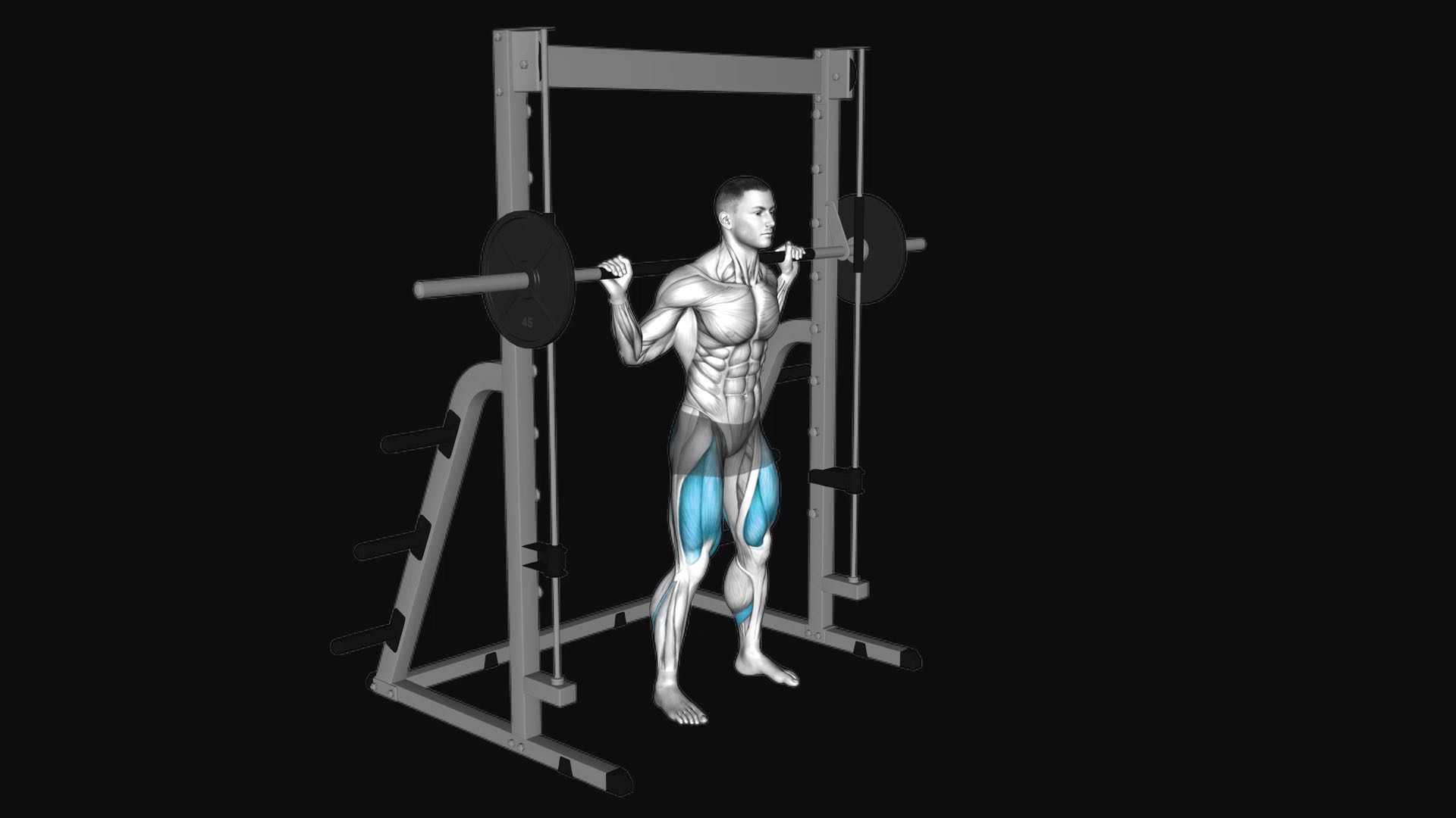 Smith Machine Squat