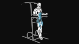 Vertical Leg Raise