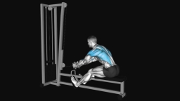Cable Seated Row