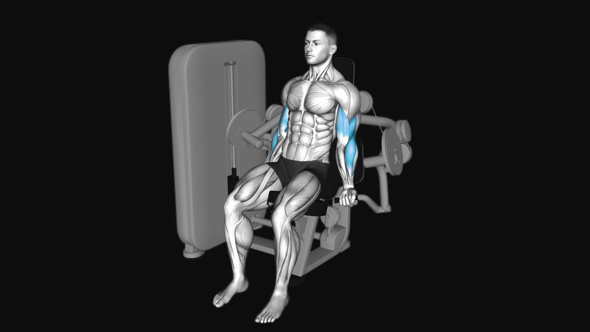 Lever Alternate Biceps Curl