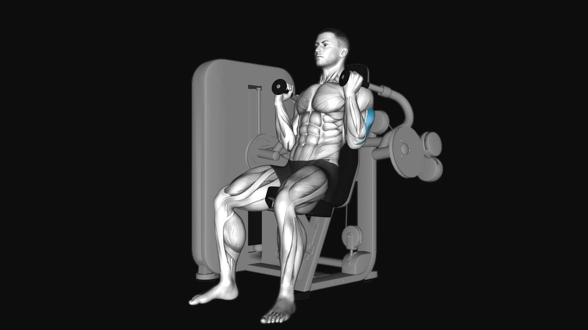 Lever Triceps Extension