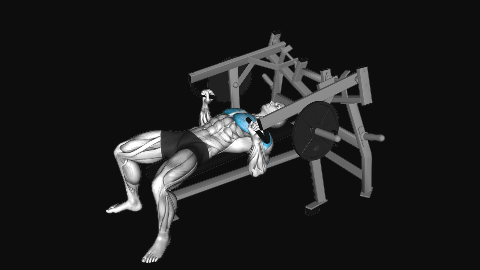 Lever Lying Chest Press