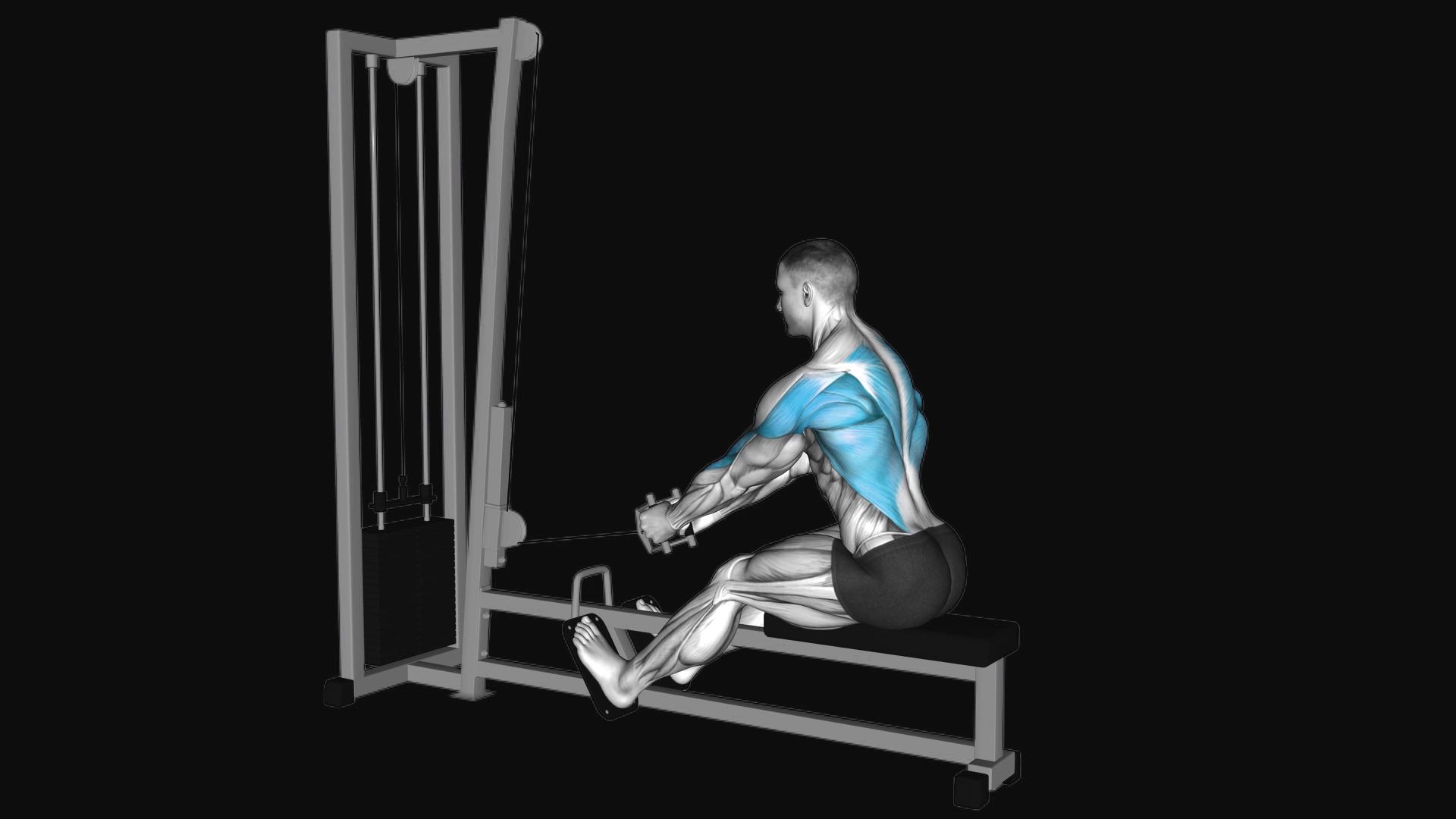 Cable Elevated Row