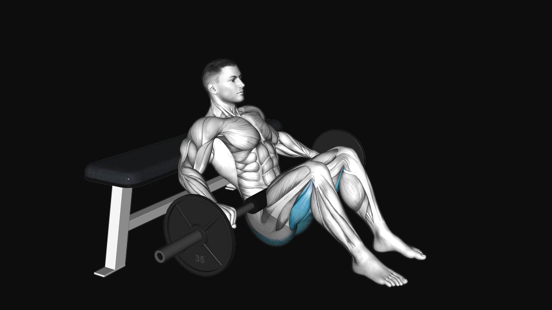 Barbell Hip Thrust
