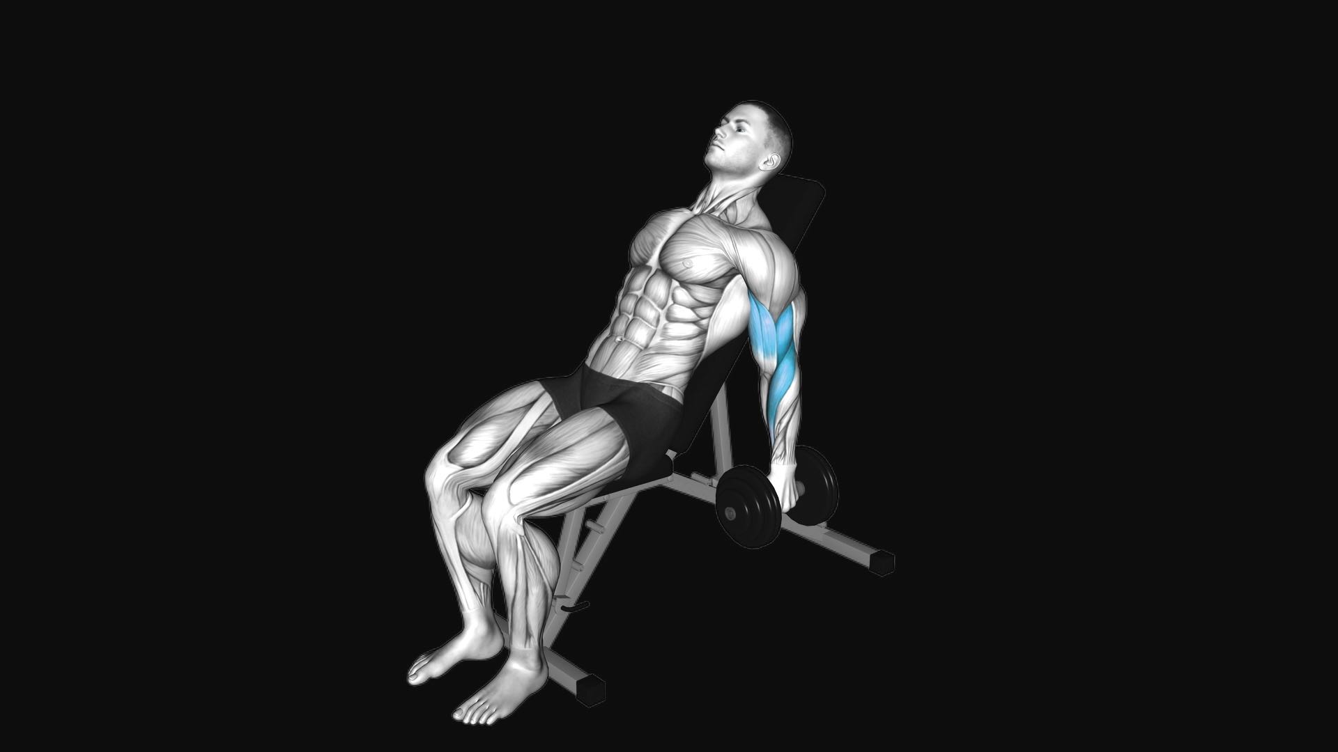 Dumbbell Incline Alternate Hammer Curl