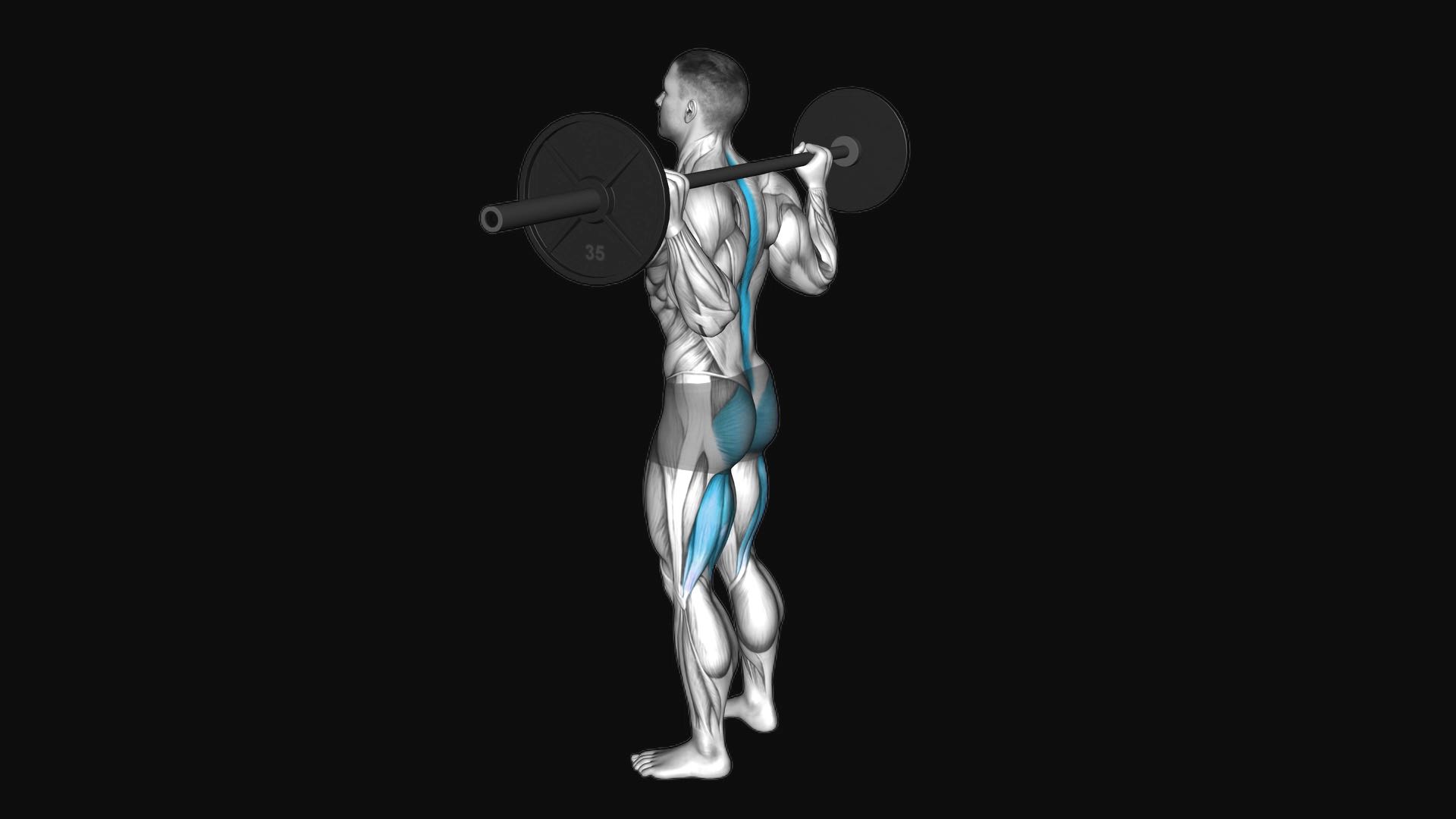 Barbell Good Morning