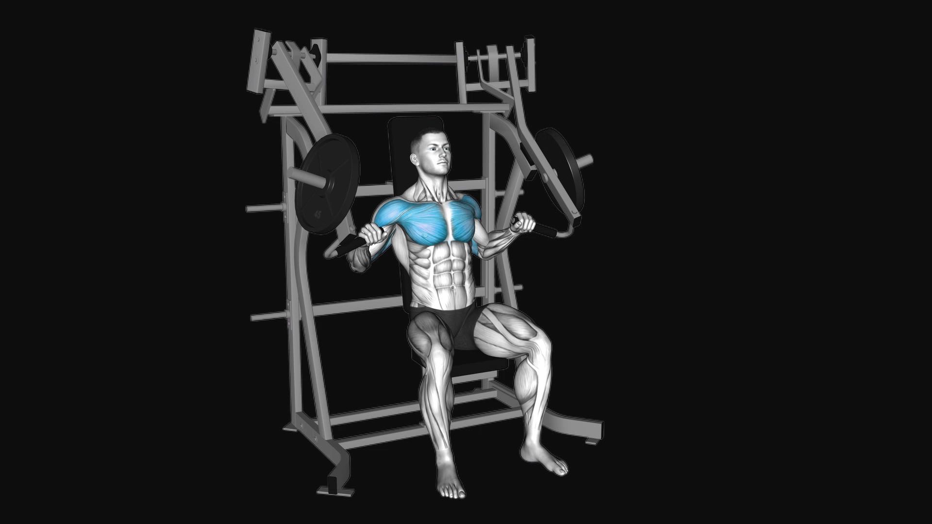 Lever Incline Chest Press