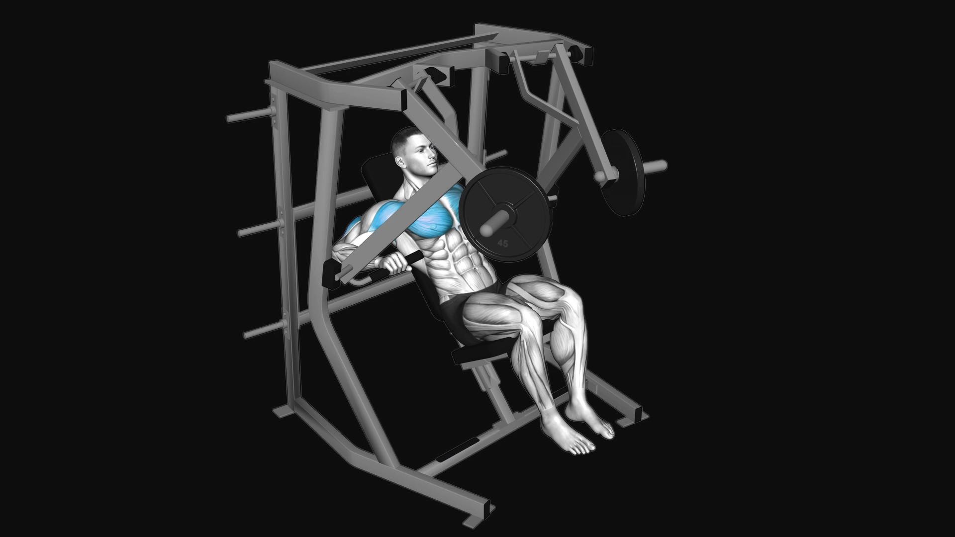 Lever Decline Chest Press