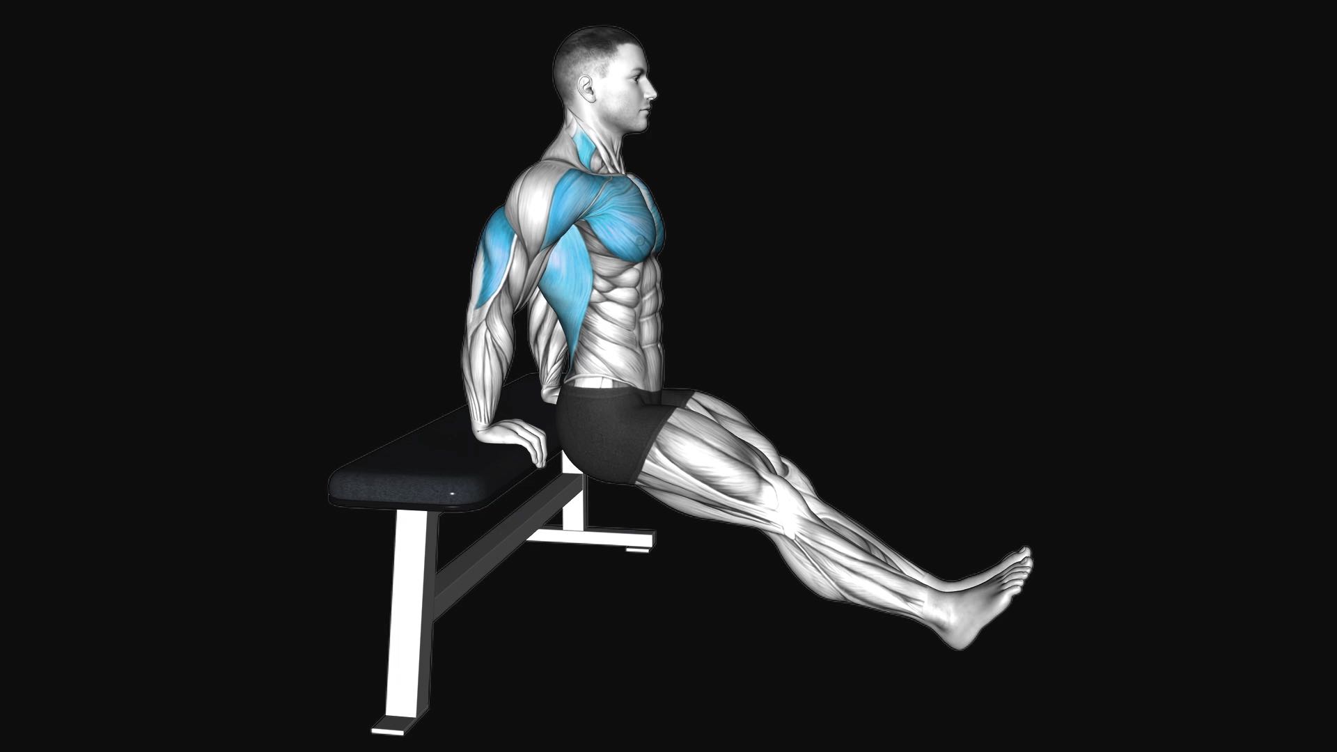 Bench Dip