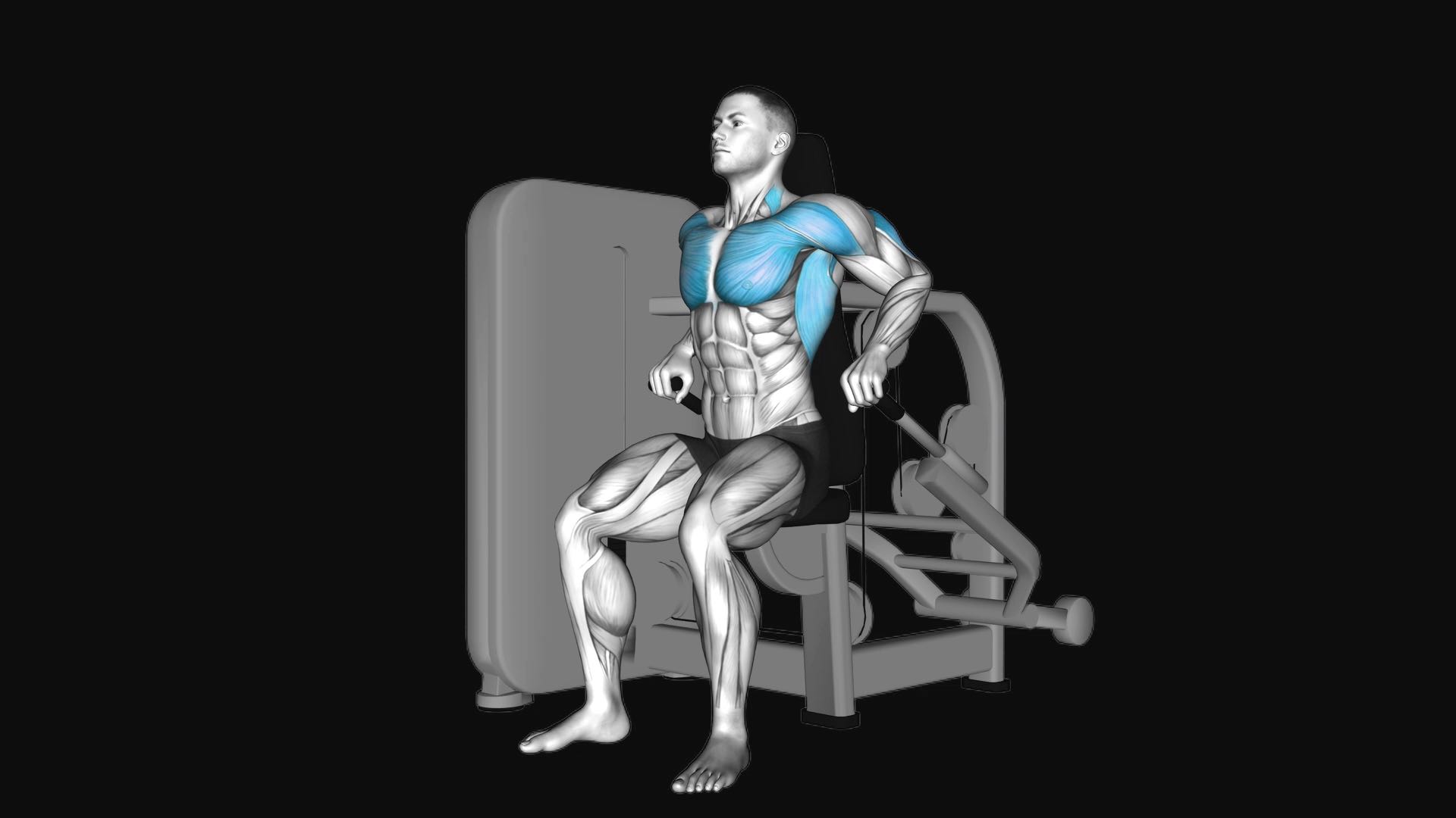 Lever Seated Dip Machine
