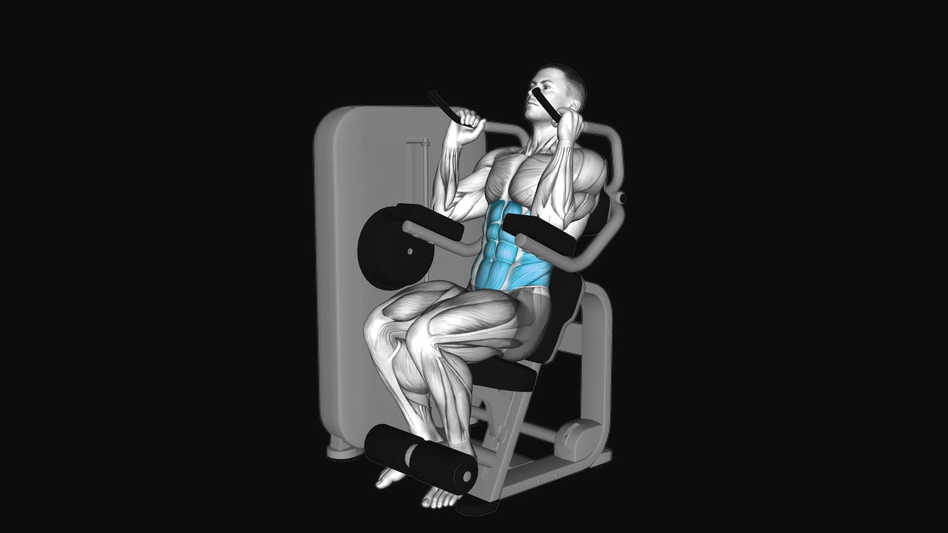 Lever Seated Crunch Machine
