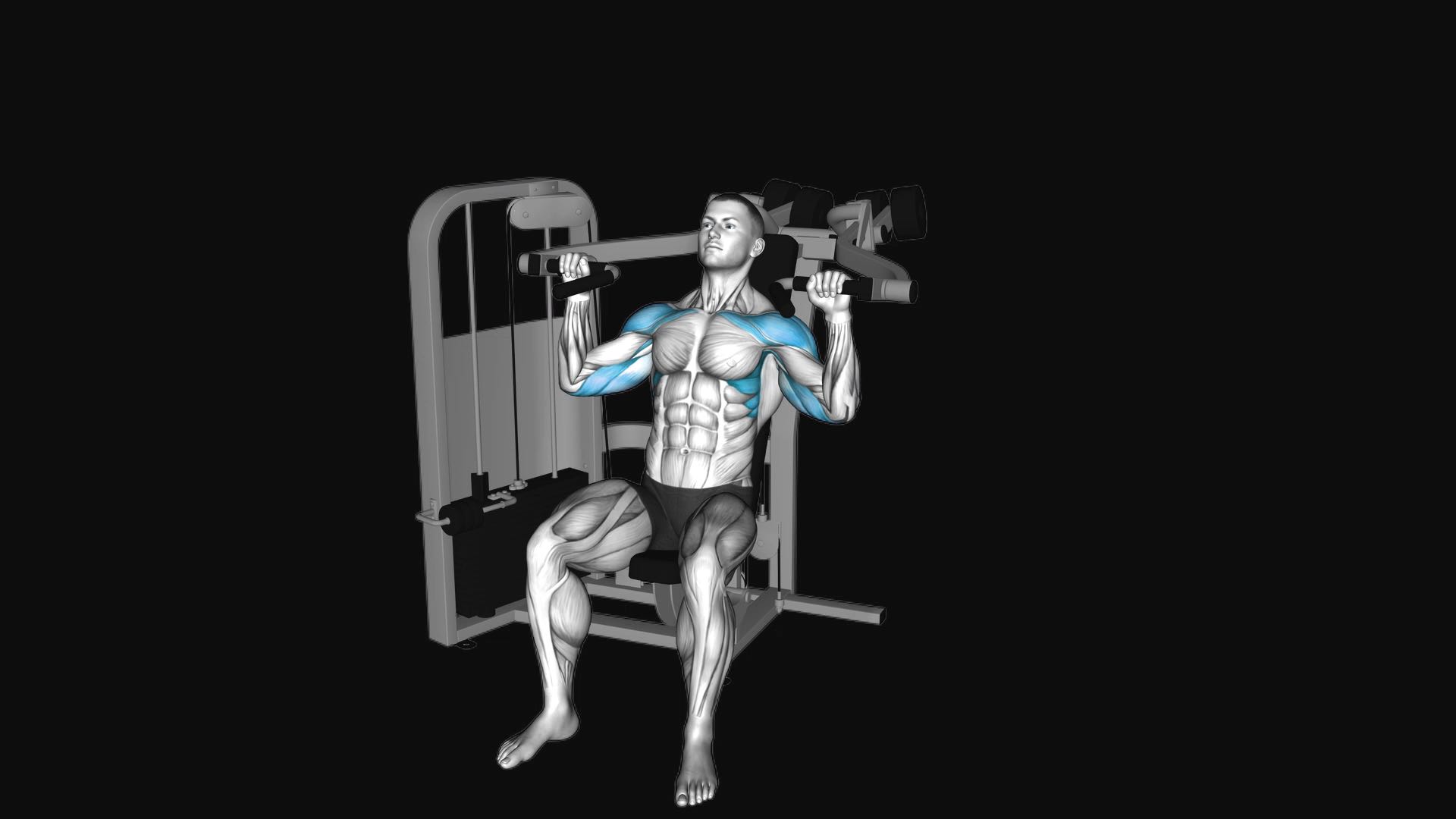Lever Seated Shoulder Press