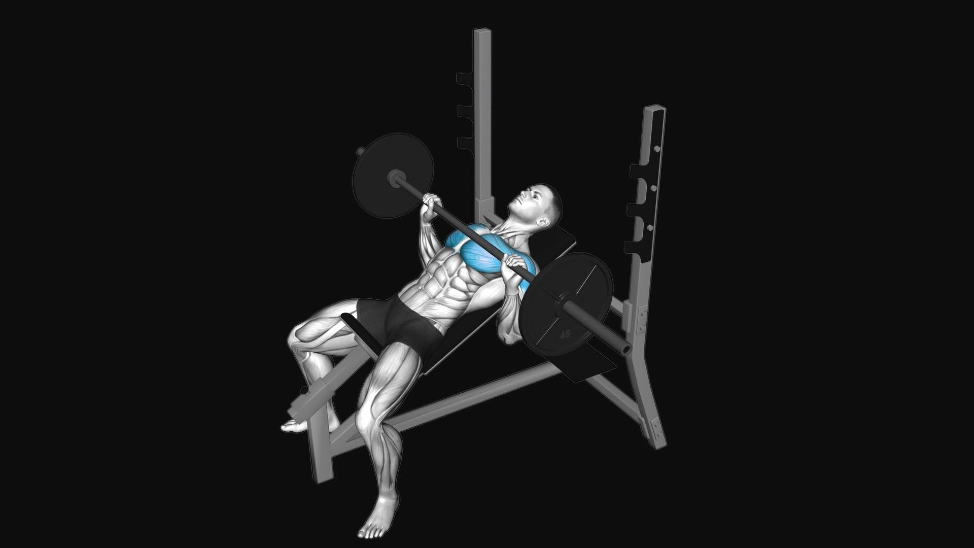Barbell Incline Bench Press