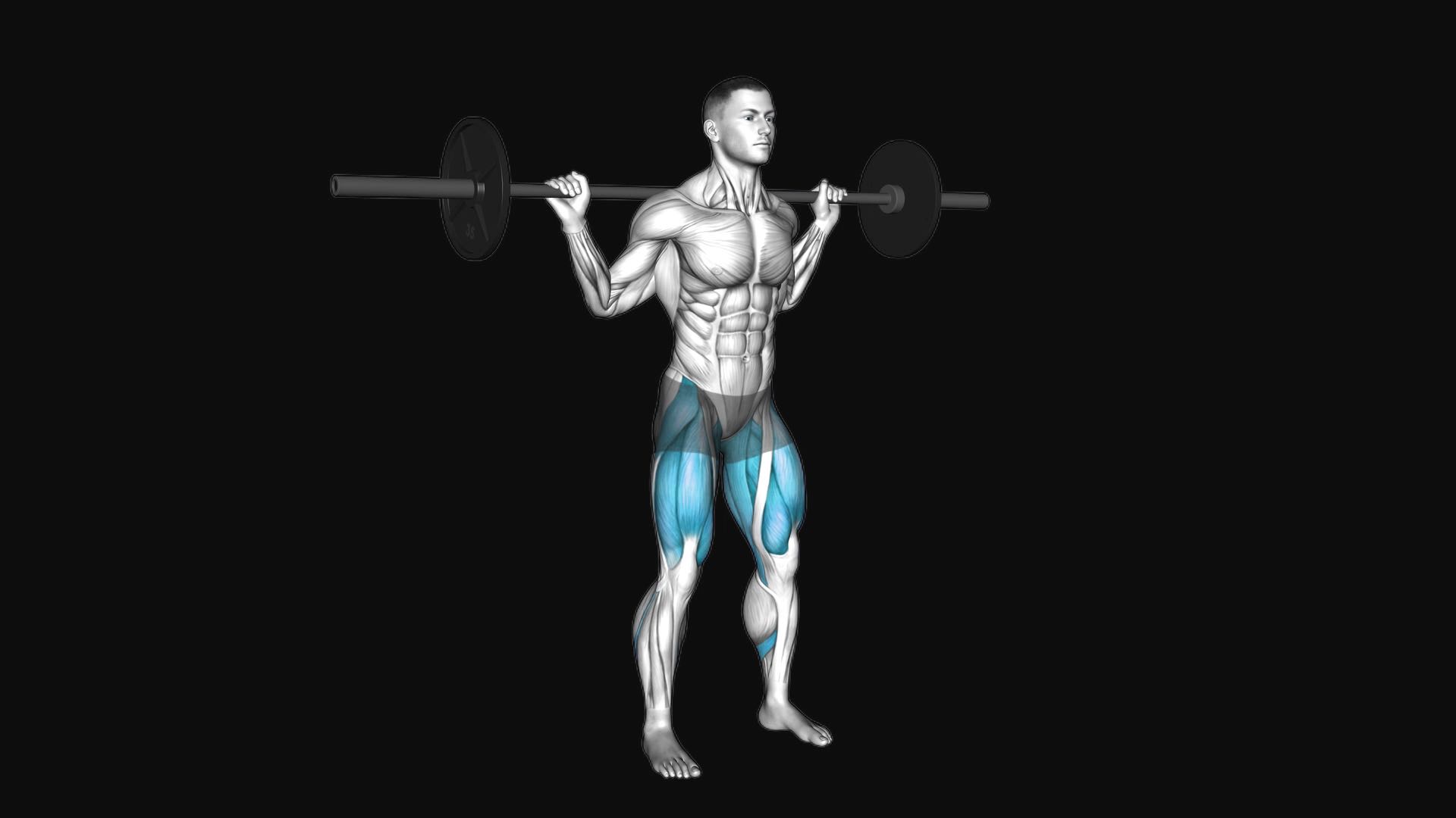 Barbell Olympic Squat