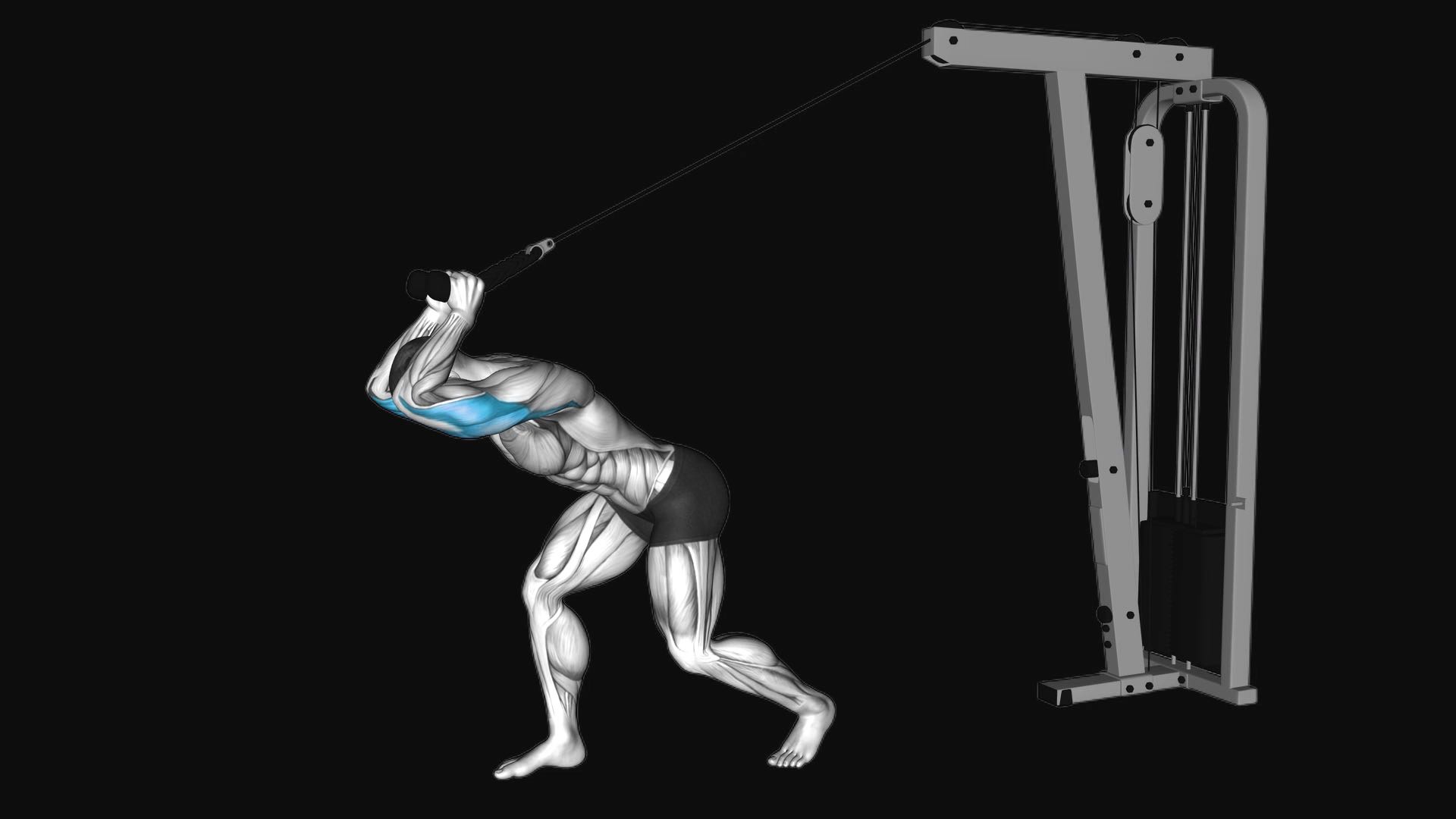 Cable High Pulley Overhead Tricep Extension
