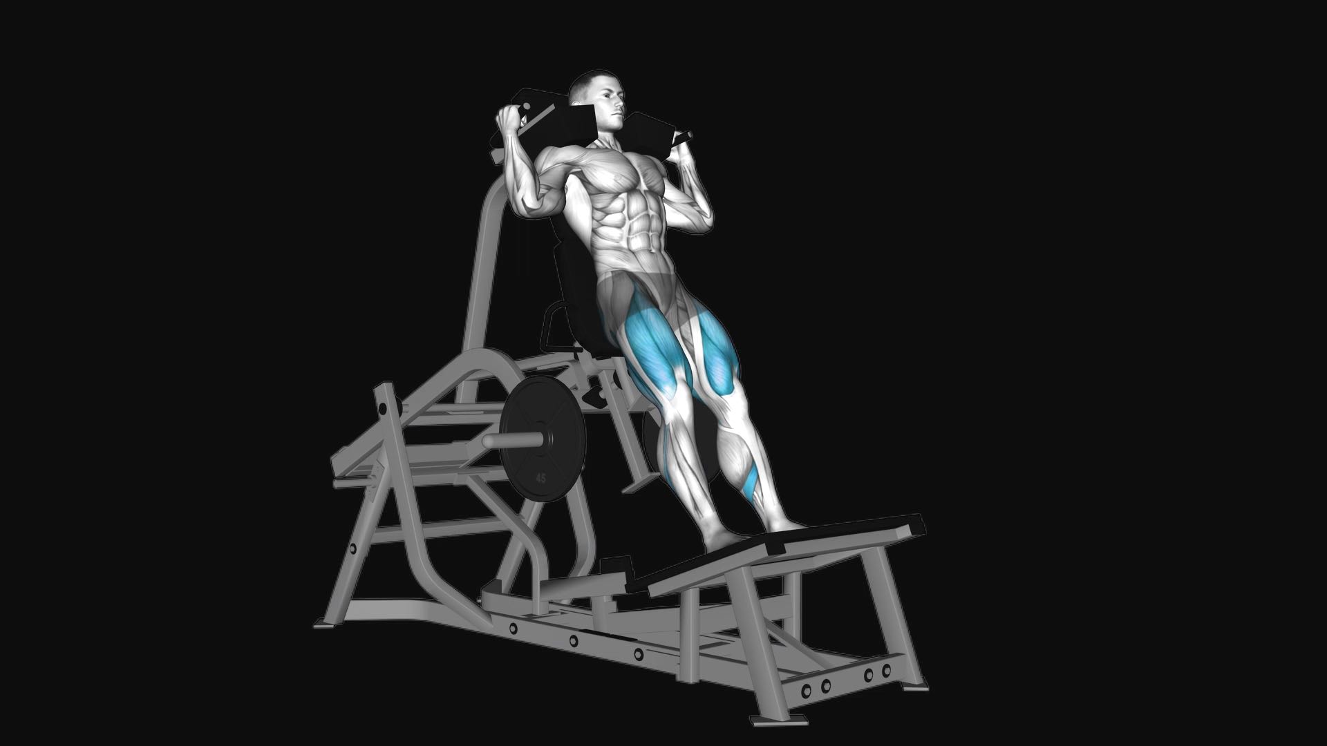 Lever Squat Machine