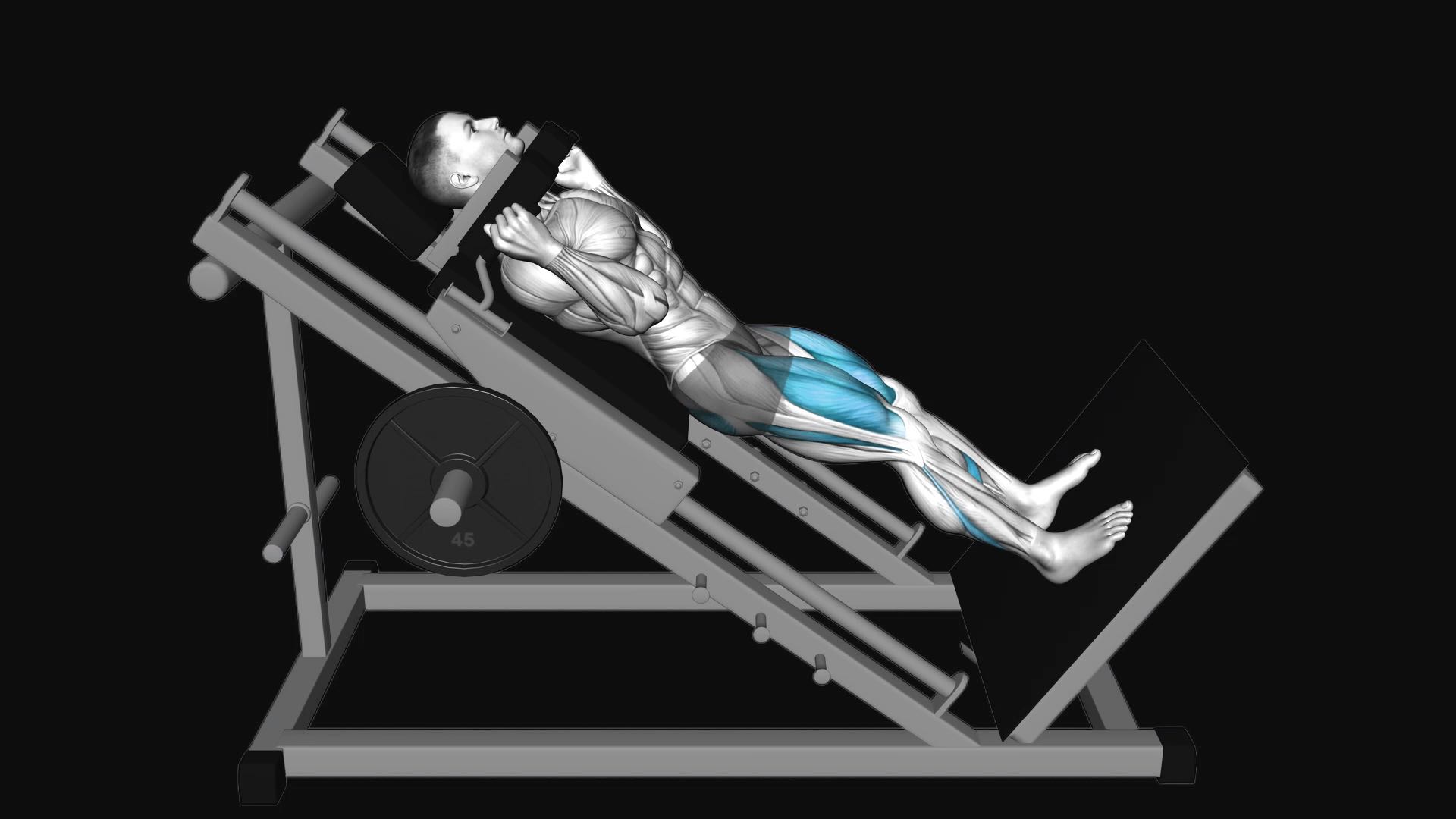 Sled Full Hack Squat
