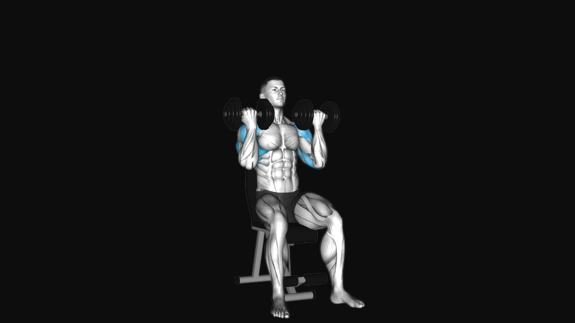 Dumbbell Arnold Press