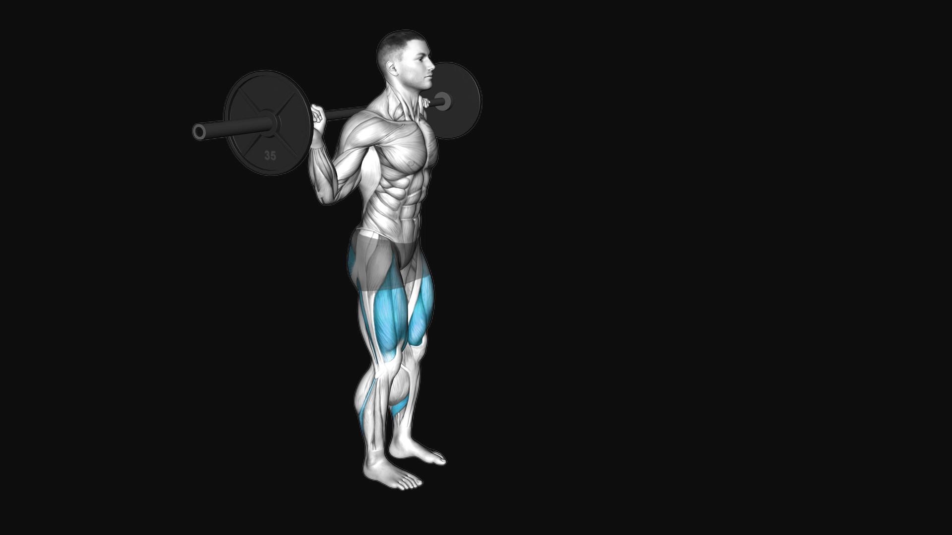 Barbell Lunge