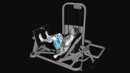 Lever Seated Leg Press