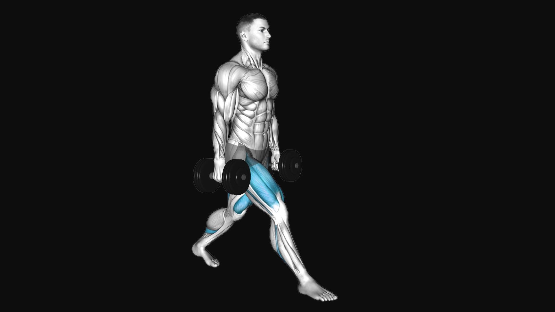 Dumbbell Split Squat