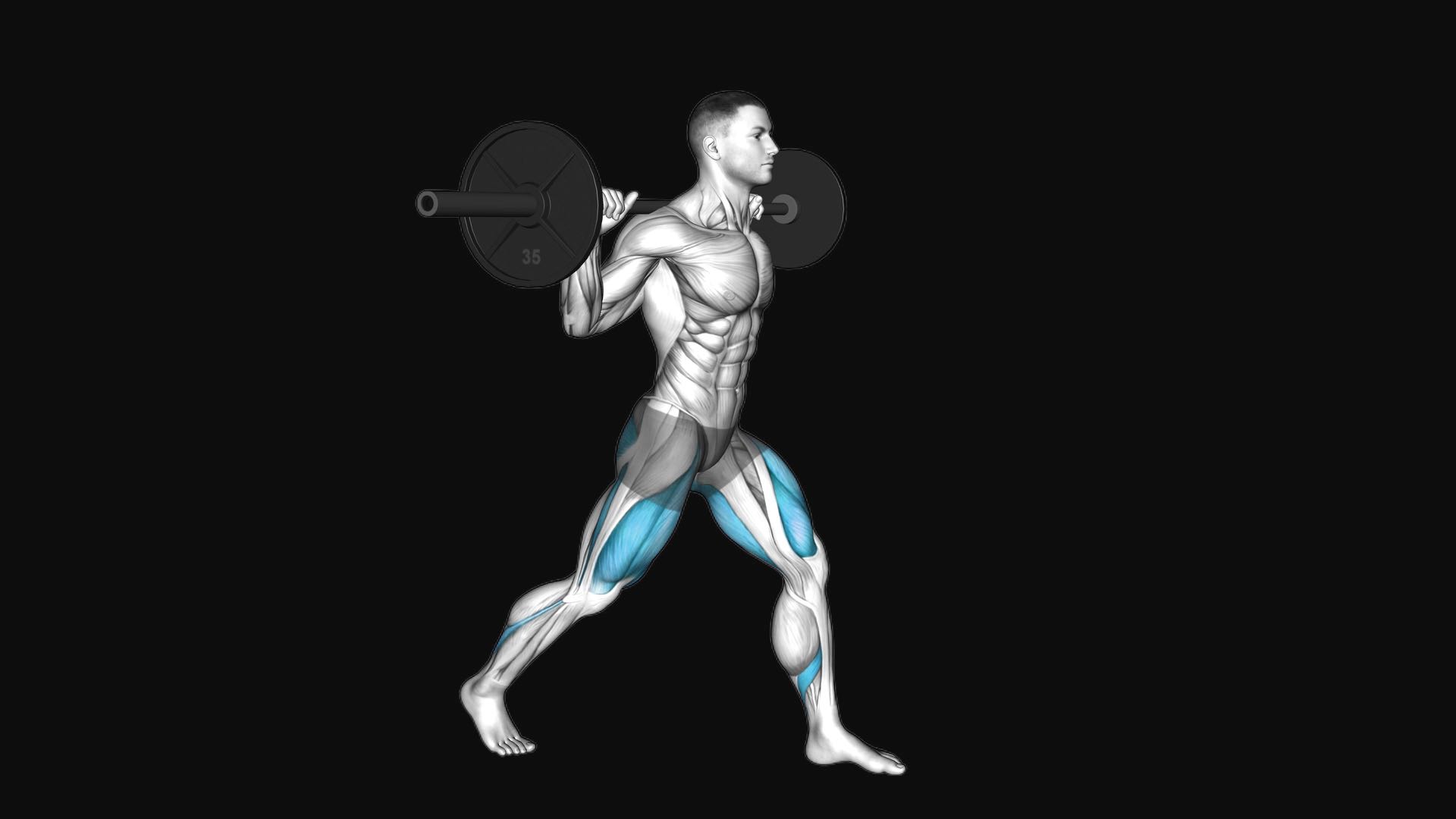 Barbell Split Squat