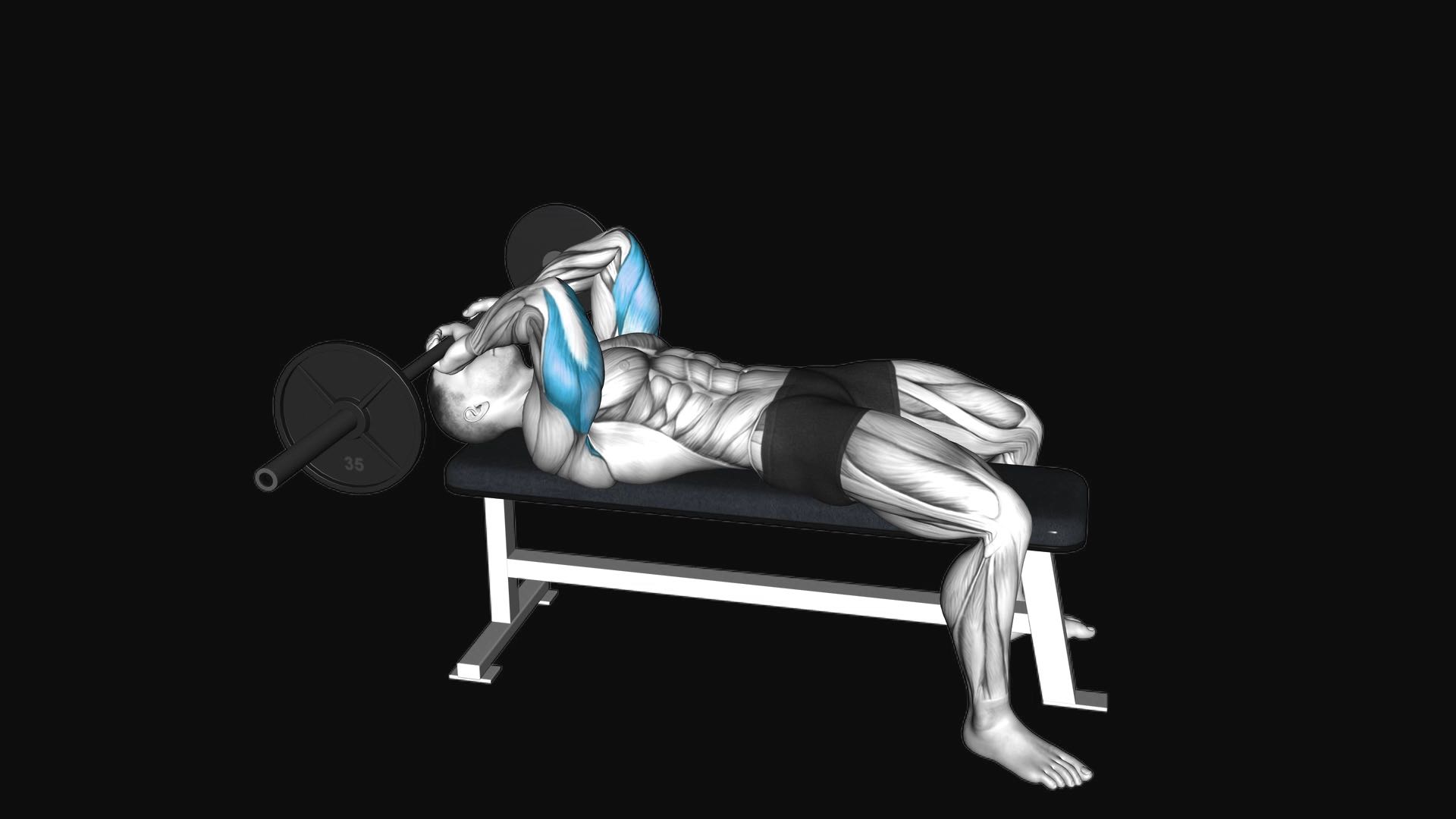 Barbell Lying Triceps Extension
