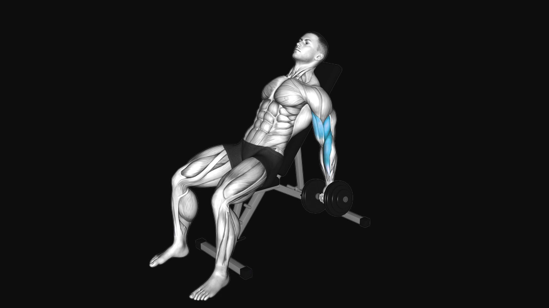 Dumbbell Incline Alternate Bicep Curl