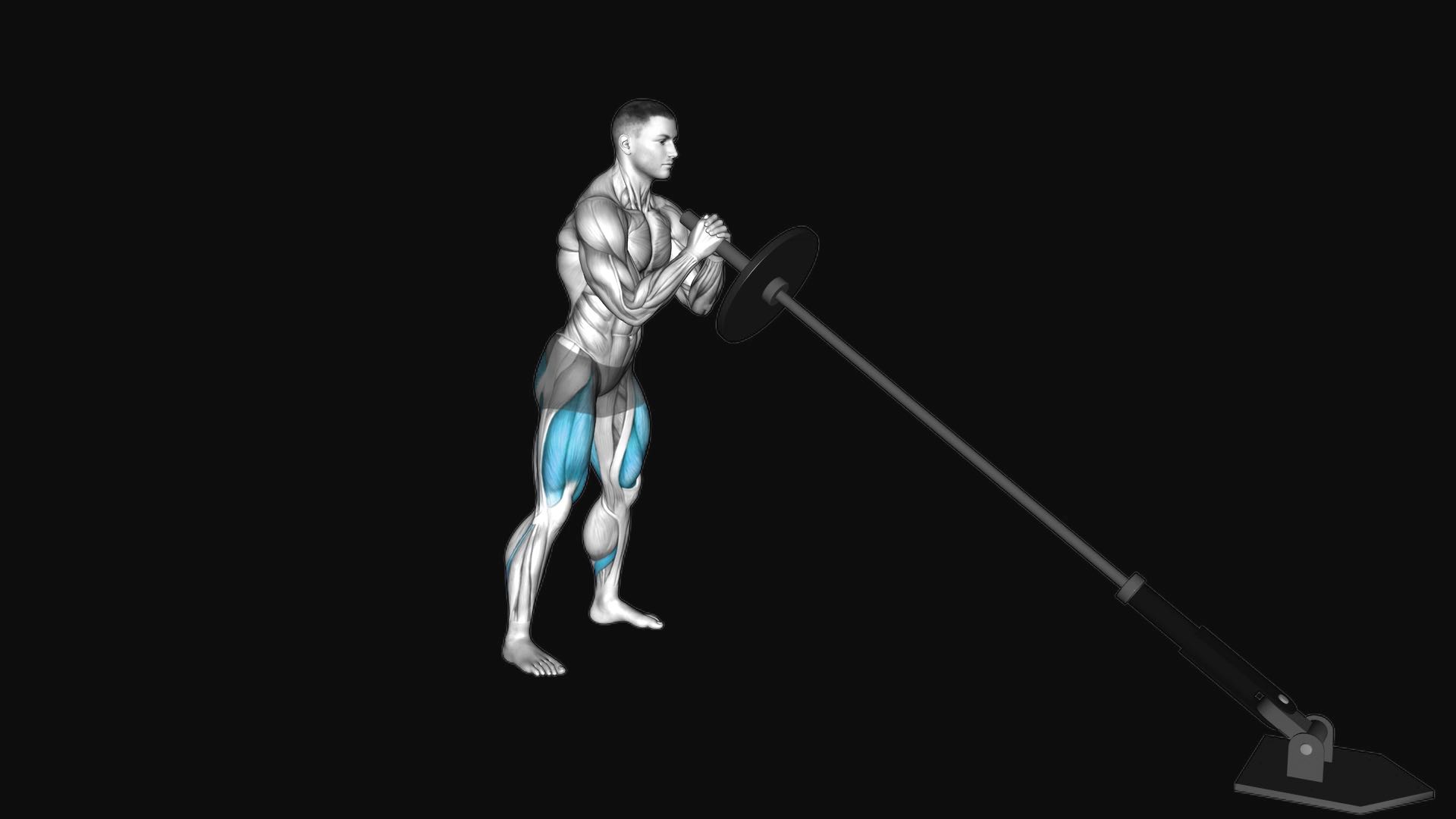 Landmine Front Squat