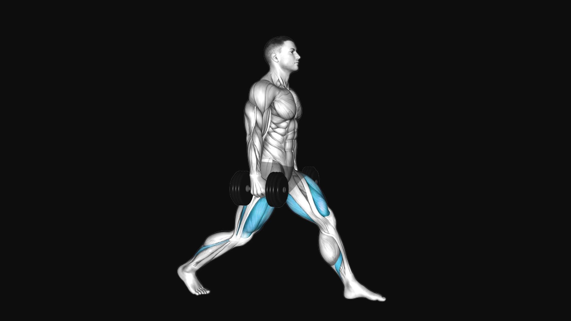Dumbbell Static Lunge