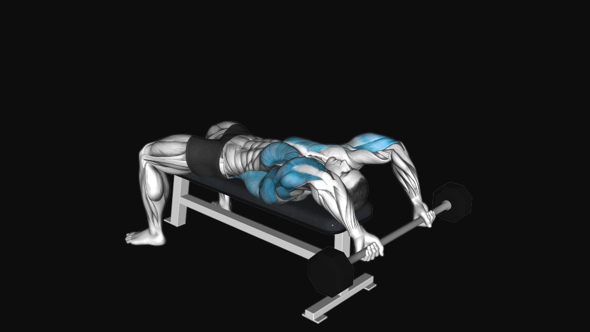 Barbell Pullover