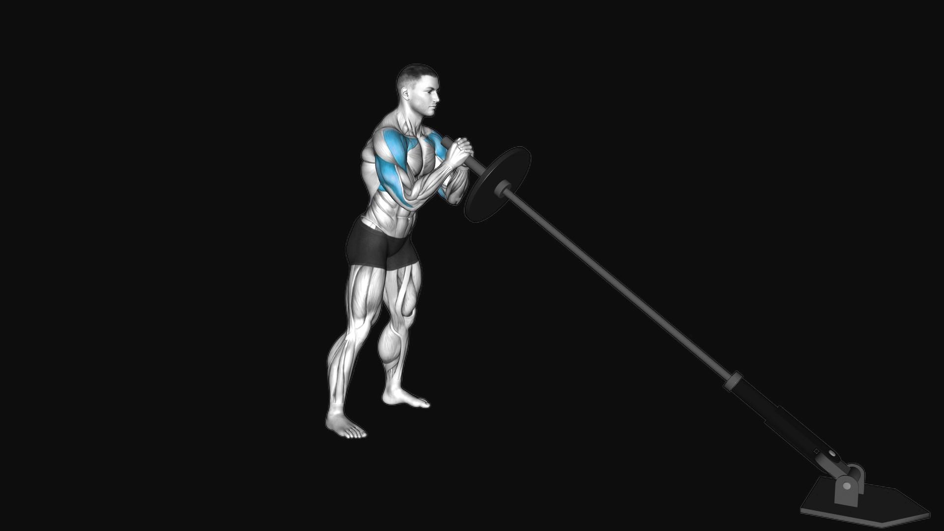Landmine Press