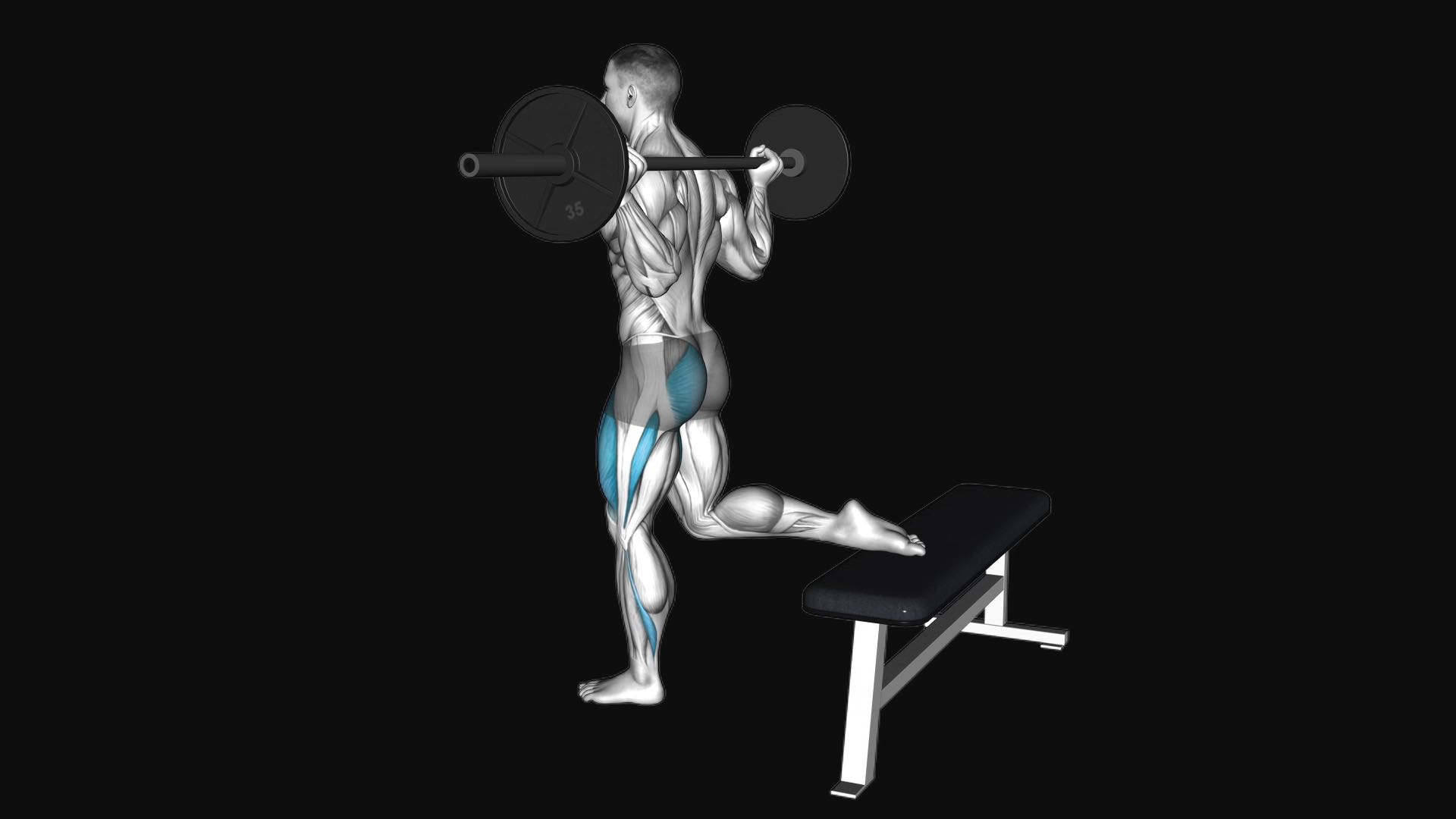 Barbell One Leg Squat